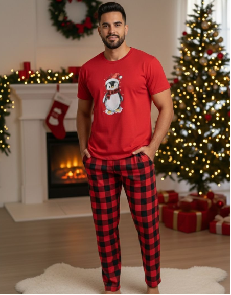 Ariel navidad rojo hombre